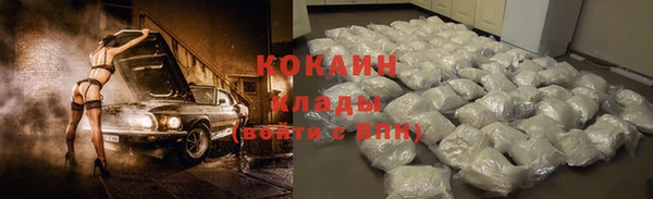 стафф Богородск