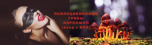 мдма Каменка