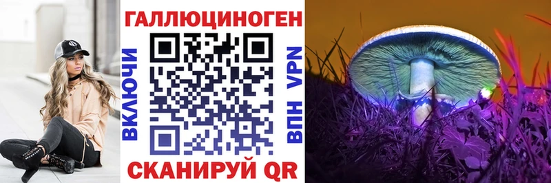 даркнет как зайти  Буйнакск  Псилоцибиновые грибы прущие грибы 